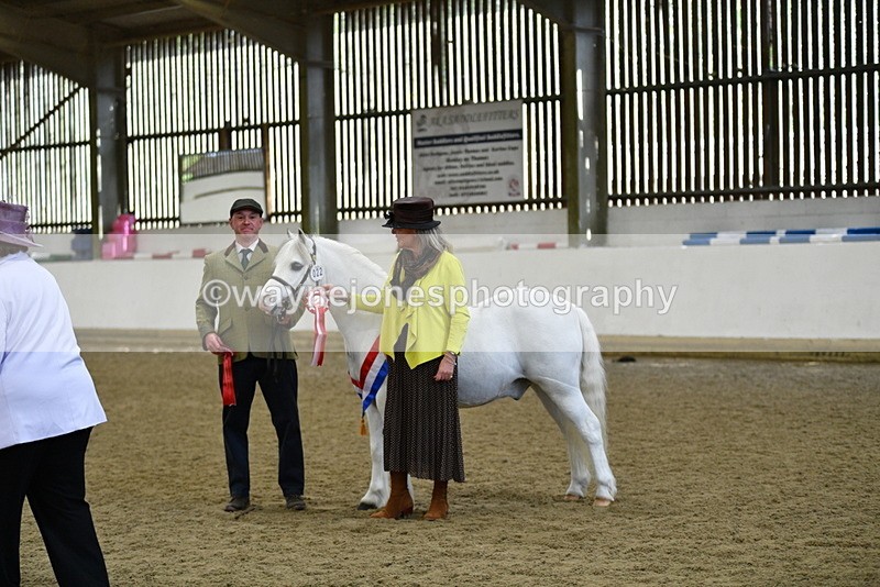 WJ5_5776 - Morning in hand Championship