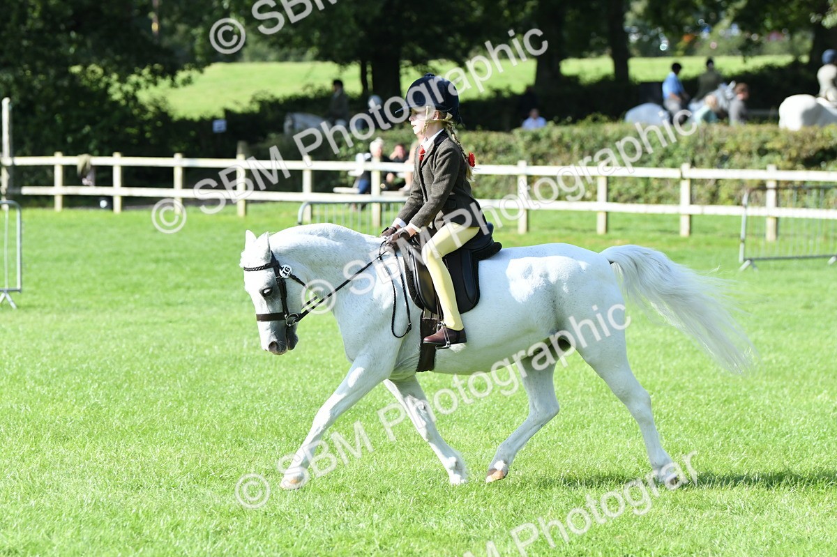 SBM_50302 - S21 - Novice & Newcomers 1st Ridden Pony