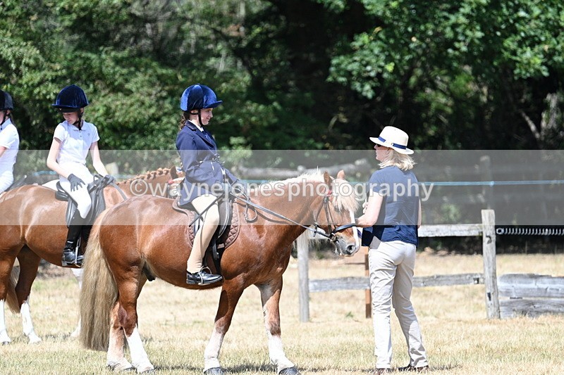 WJ7_3366 - Class 8 Ridden Veterans