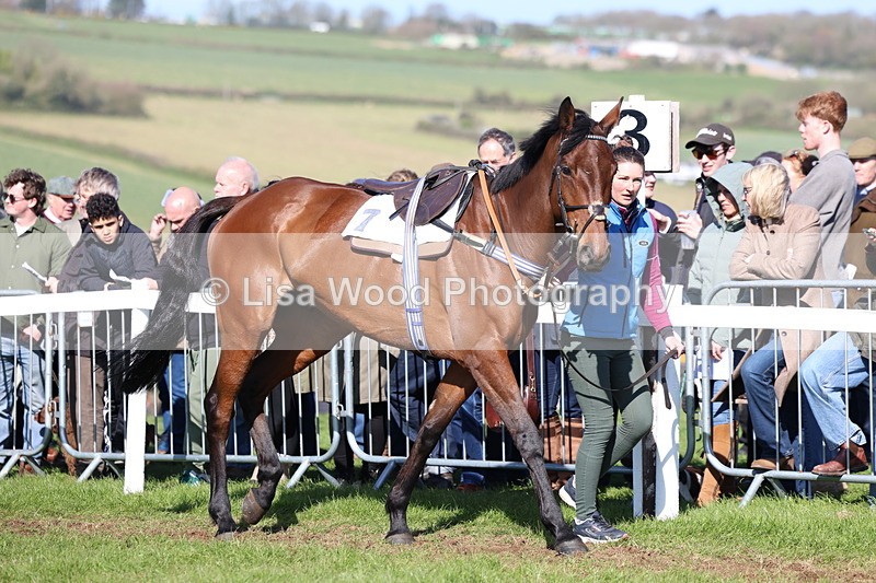 3E7A5584 - Race 6: Maiden (NWFAA)