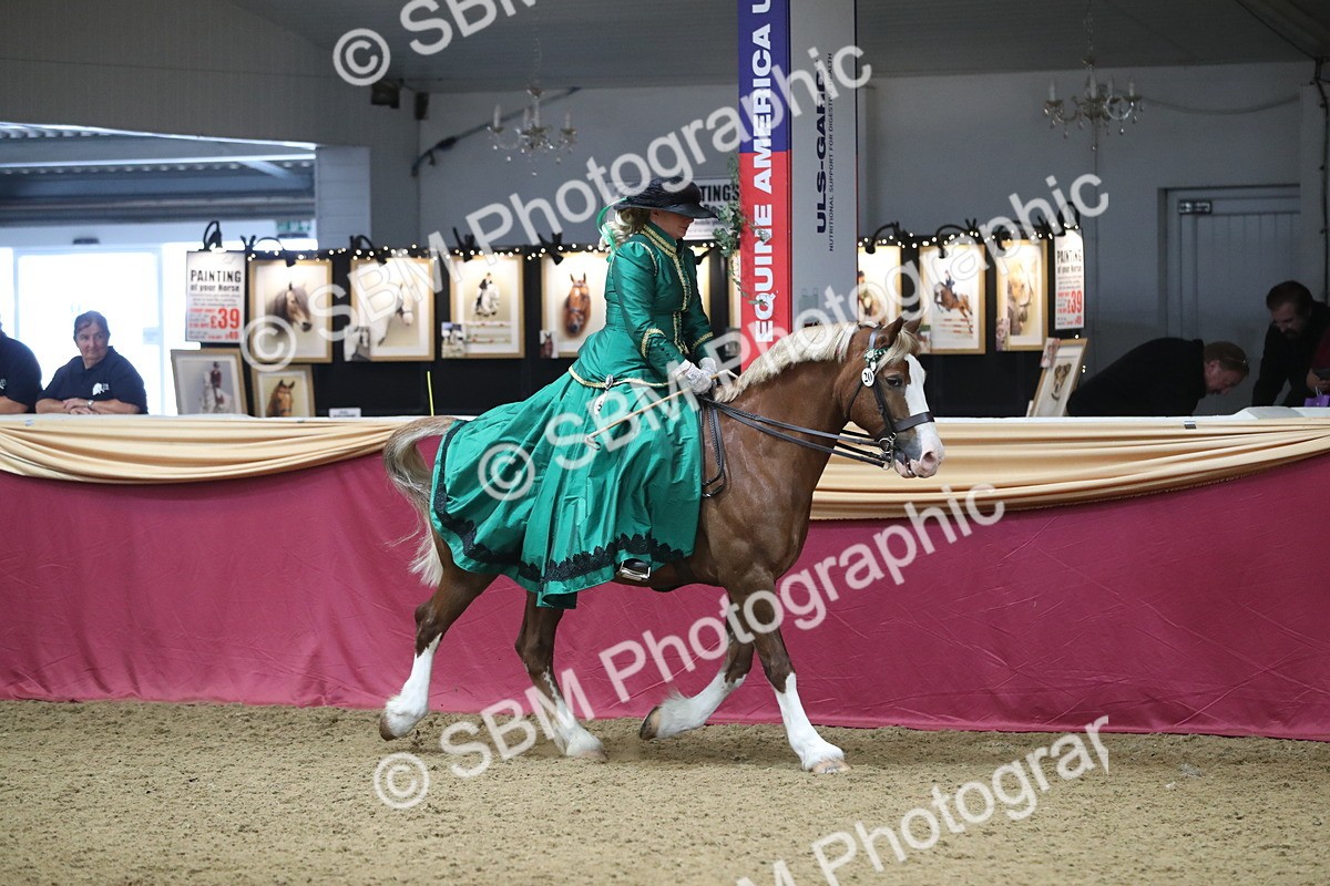 SBM_12110 - Class 107 Ridden Costume- Astride Adult (20+)