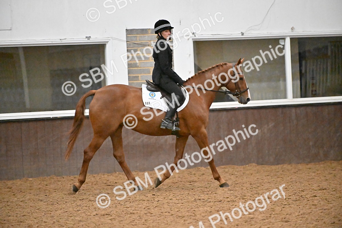 SBM_003011 - Class 37,38 - UKPSAF Performance Horse & Pony