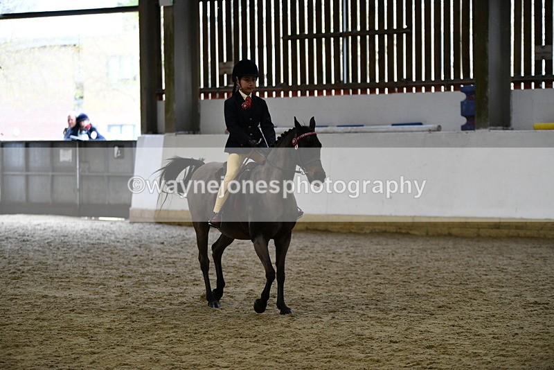 WJ5_6945 - Class 10 Childs Pony