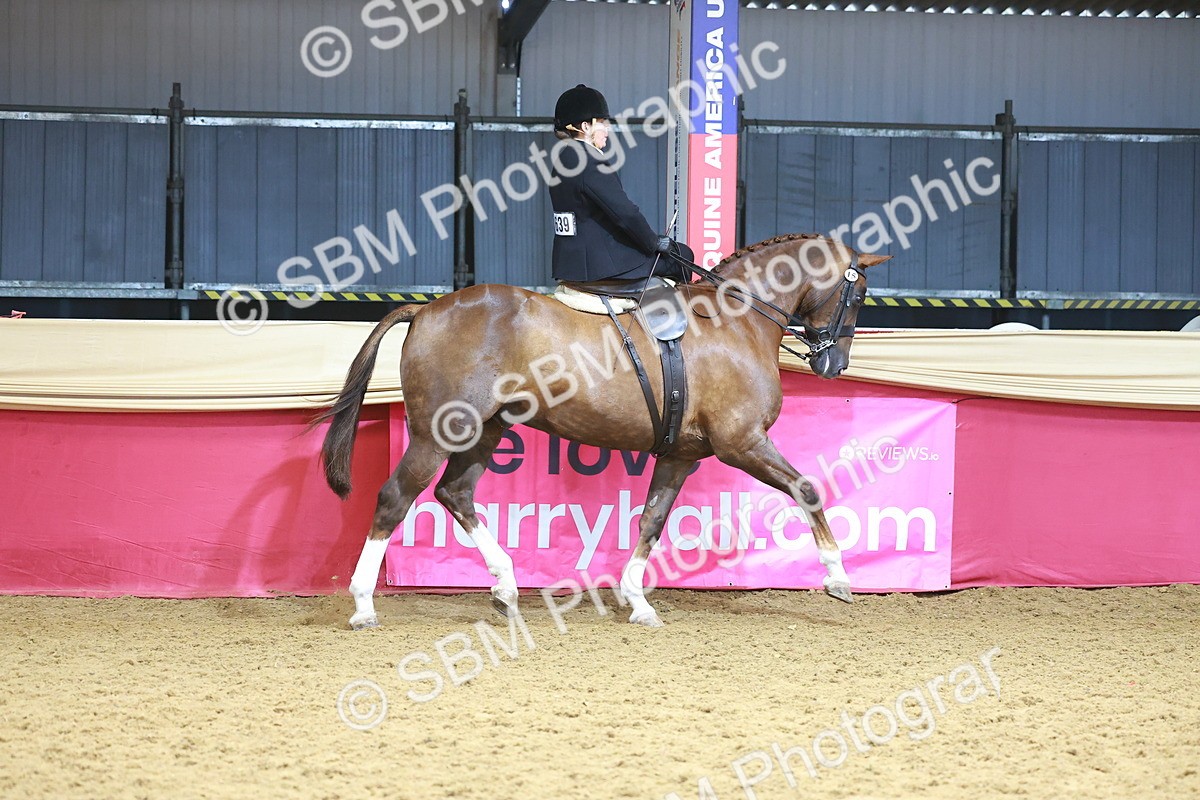 SBM_12420 - Class 103 - HOYS Veteran Qualifier - Ridden Pre Vet