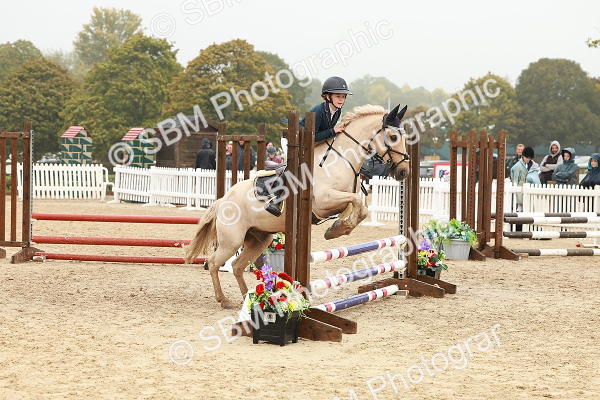 SBM_73304 - Supreme Championship Junior Pony 60cm & 65cm
