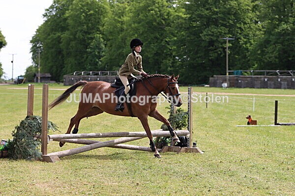IMG_2983 - Working Hunter