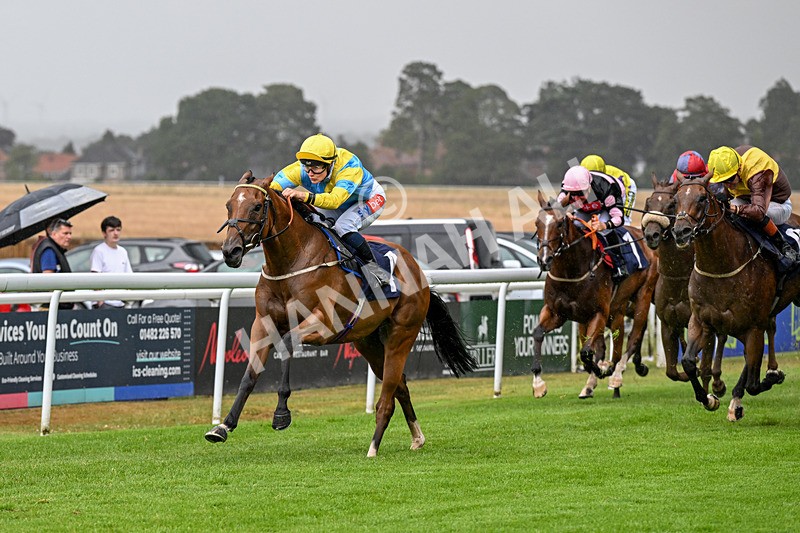 150725-Race 4-Without Flaw-0560 - Race 4