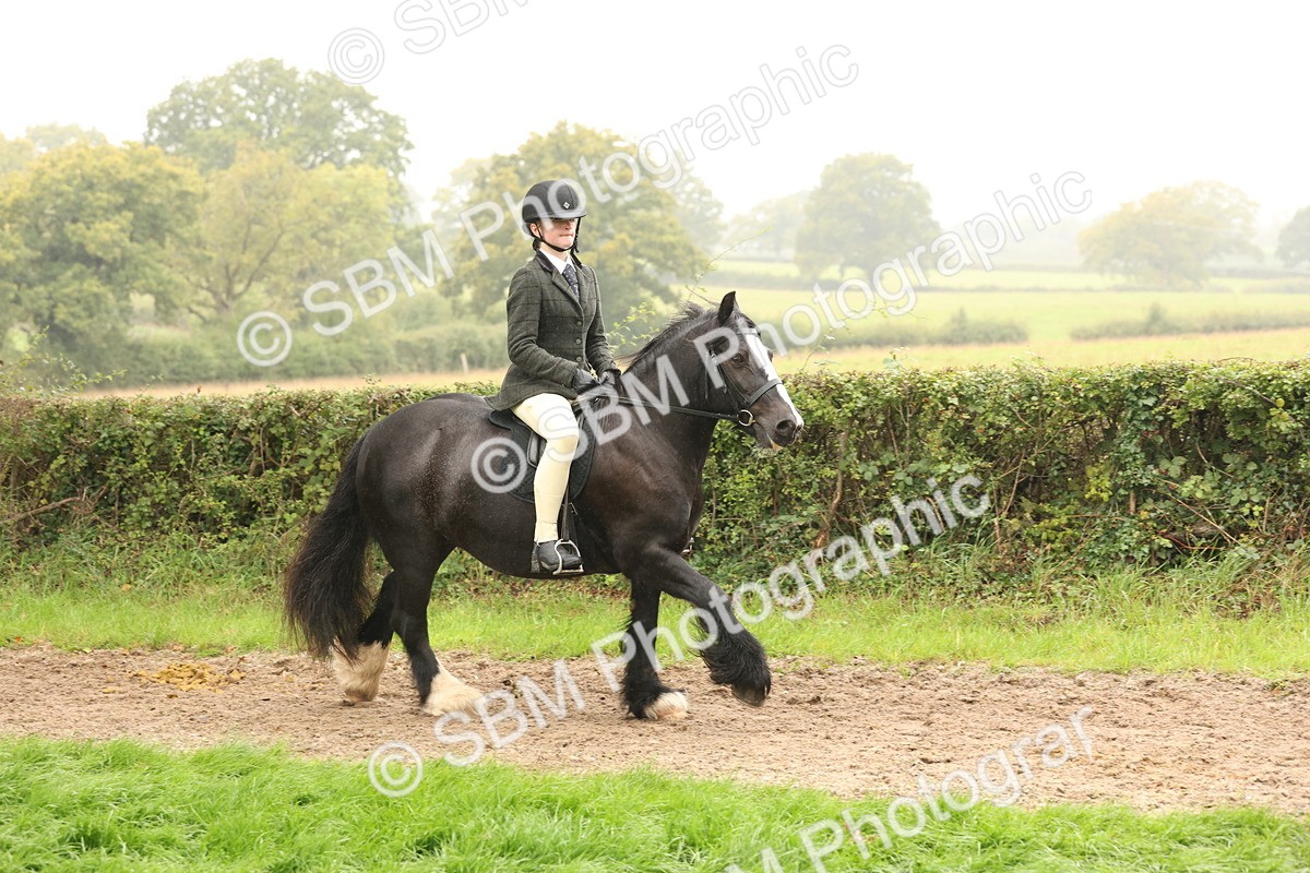 SBM_72708 - S70 - Traditional Cob Ridden