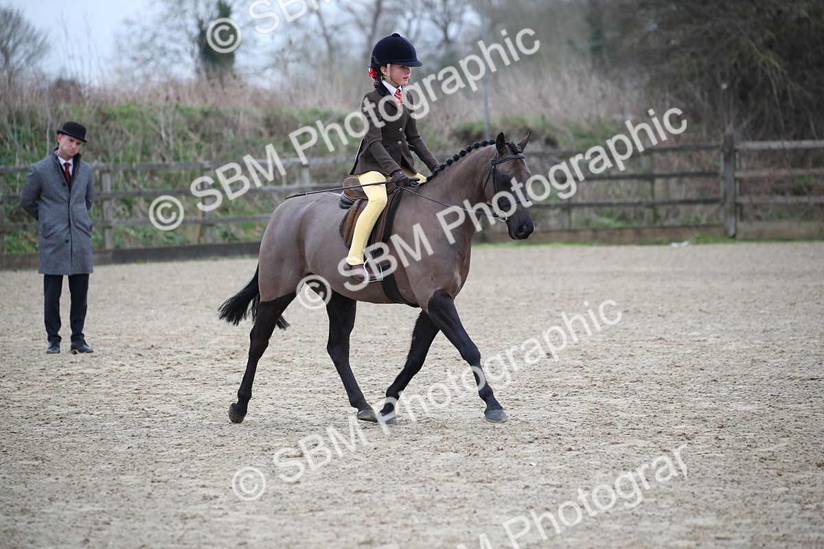 SBM_004599 - Class 5-9 - NPS In Hand-Show Hunter-Intermediate Ridden Inc Ridden Championship