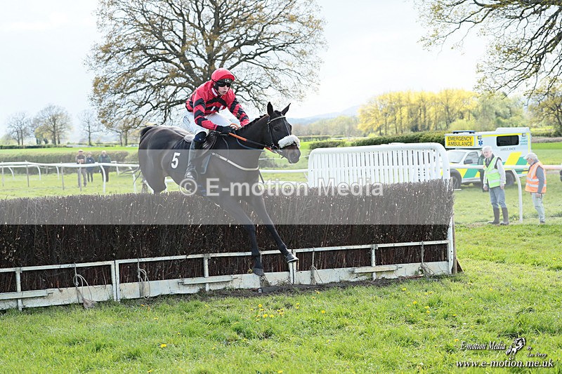 PtP 180426 1160 - Worcestershire Hunt PtP Chaddesley Corbett 18/04/26