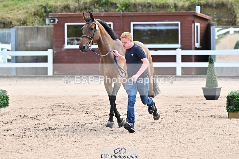 240718A-105237-00926 - Trot Up 11am to 12pm