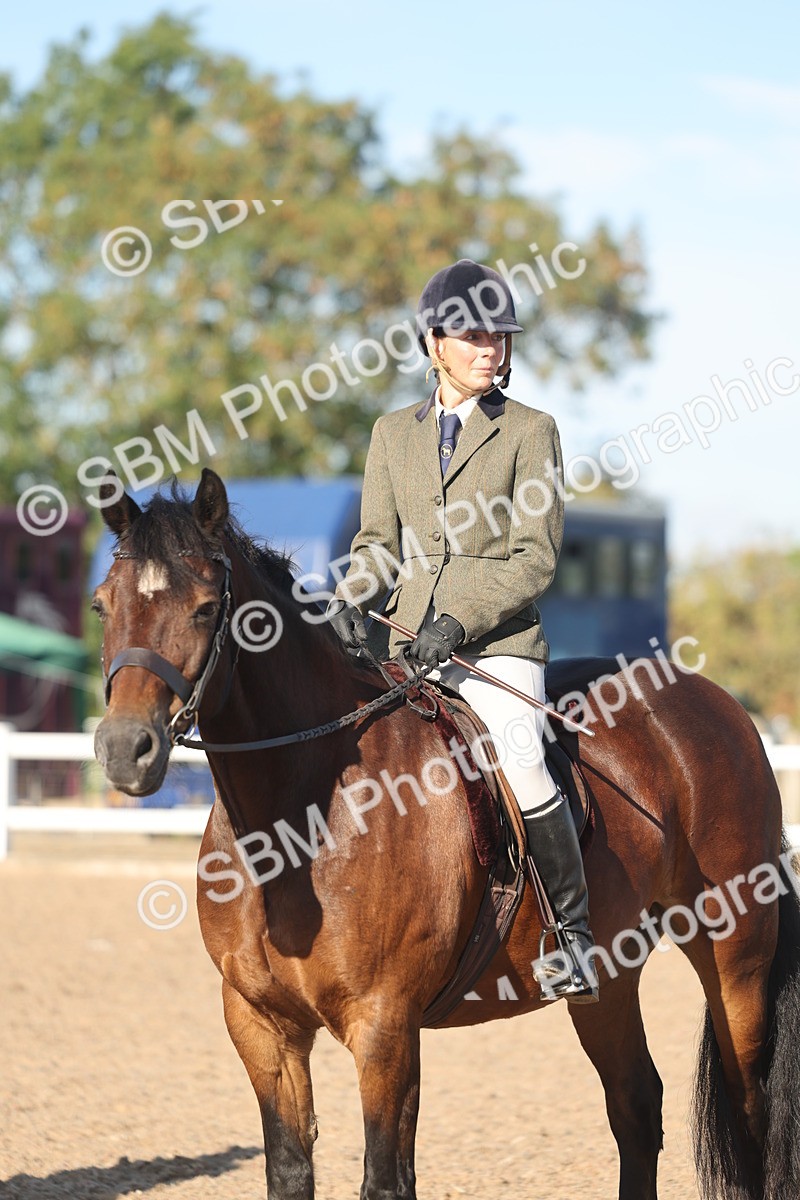 SBM_11085 - Class 302 - Ridden M&M Large Breeds