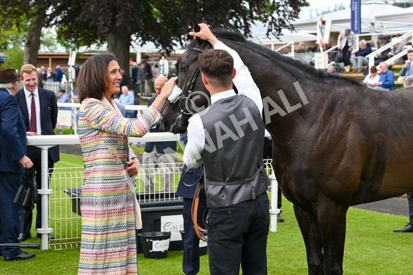 150525-Tropical Storm-5065 - Race 5 4.18pm British Stallion Studs EBF Westow Stakes