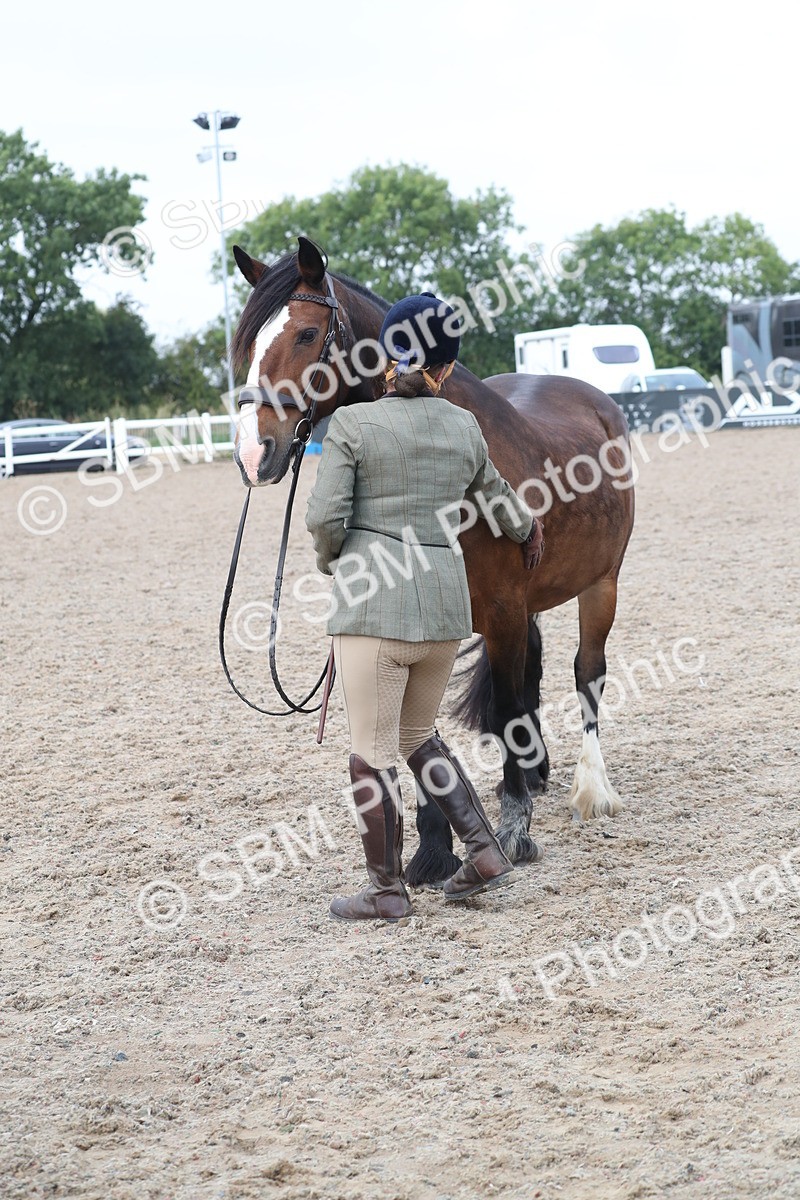 SBM_22582 - Class 604 - 2025 Area - IH Diamond