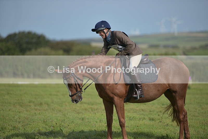 RAY_7895 - Class 2B: Trekenning Open: Dressage