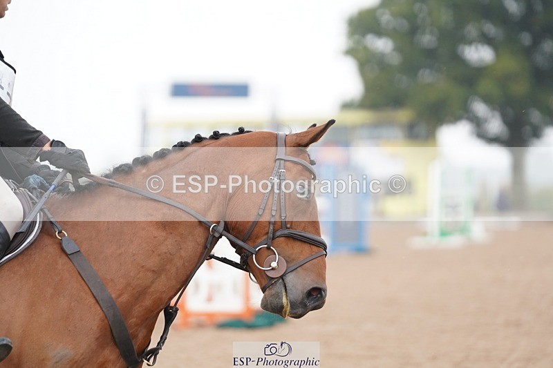 240901A-140904-09939 - 578-Simon.Wooding-CURRAGHGRAIGUE.WILFRED