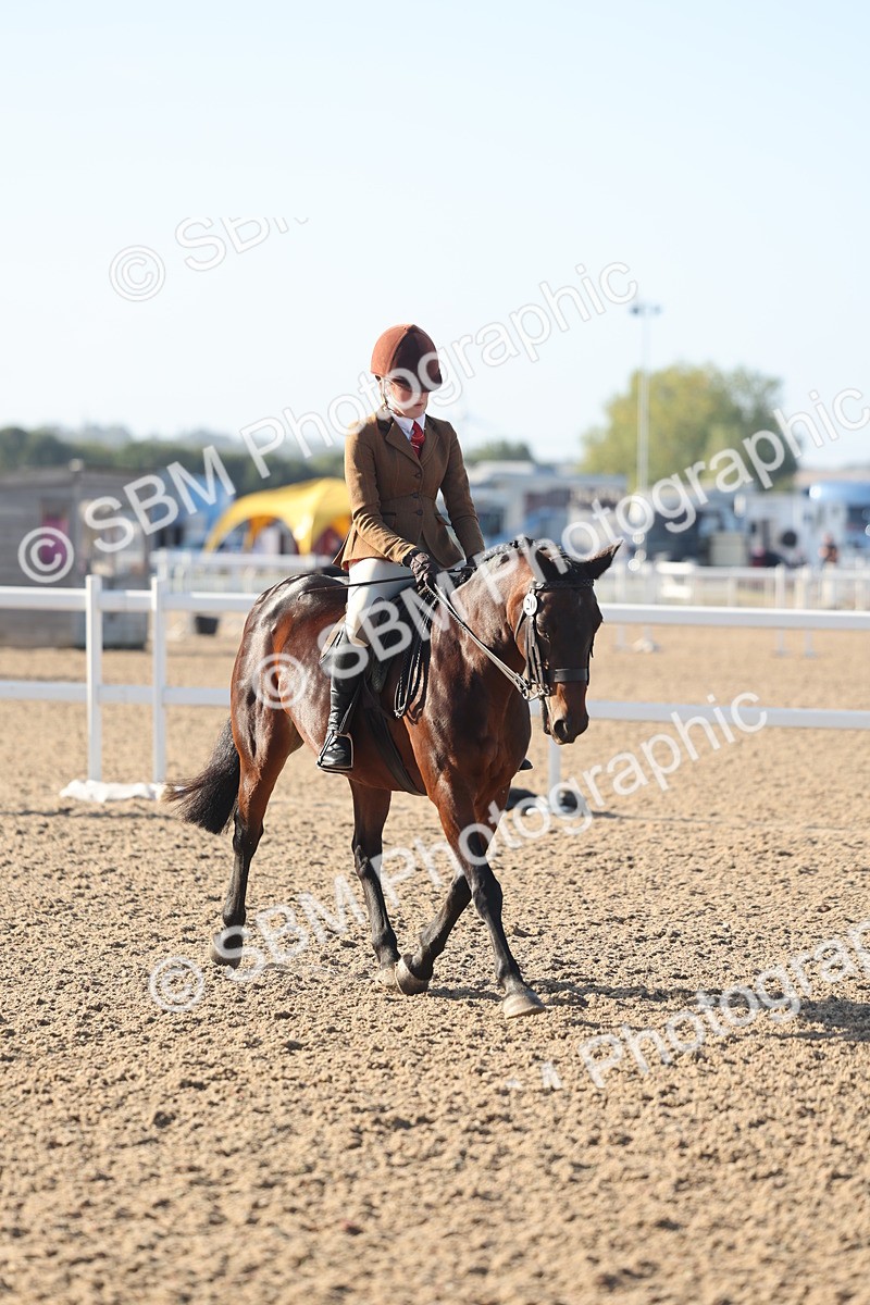 SBM_22121 - Class 801 - Ridden Veterans
