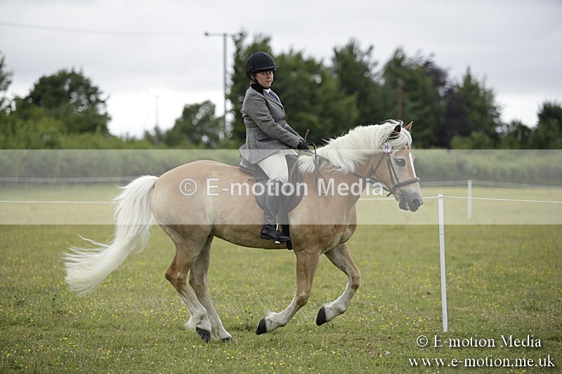 BVR160717-1516 - Ring 1 BVRC Show 16/07/17