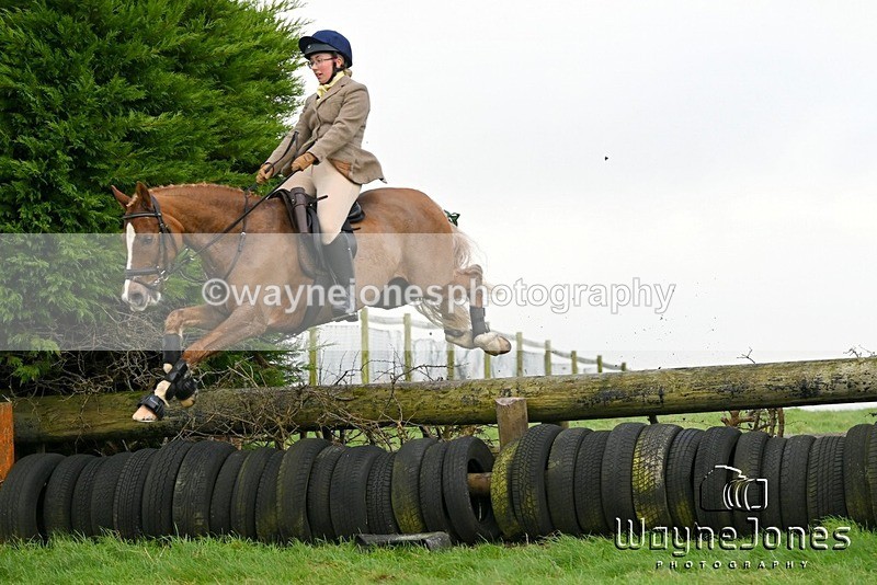 WJ6_2809 - Edited Examples