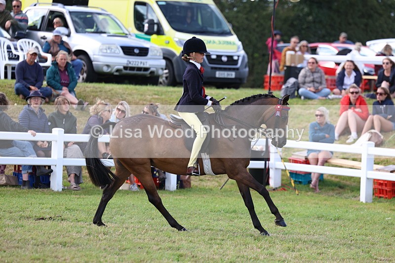 3E7A3848 - Supreme Championship