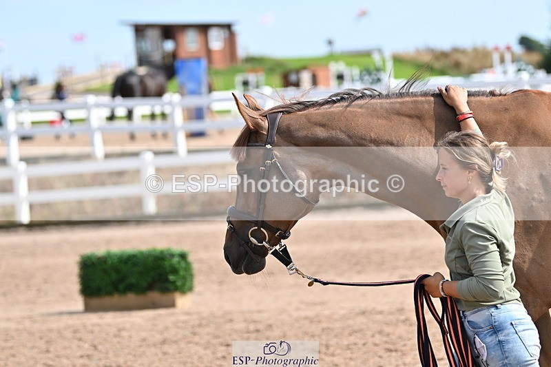 240717A-160709-03320 - Trot Up 4pm to 5pm