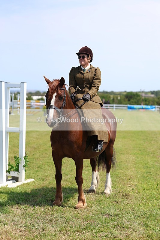 3E7A9793 - Class 13: Side Saddle