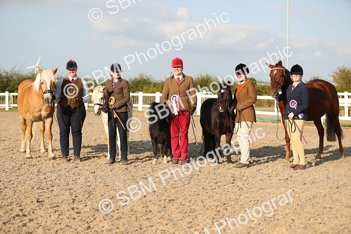 SBM_09153 - Class 29 IH Veteran Pony