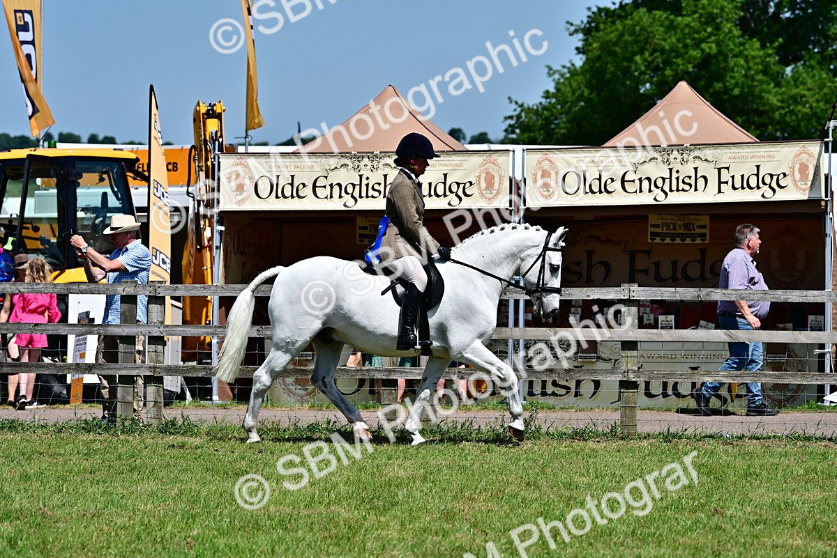 SBM_17540 - Class 95-97 - BSPS LHS Performance Ponies