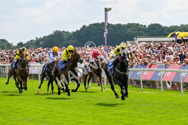 260725-Race 3-Royal Champion-0446 - Race 3 2.40pm Sky Bet York Stakes