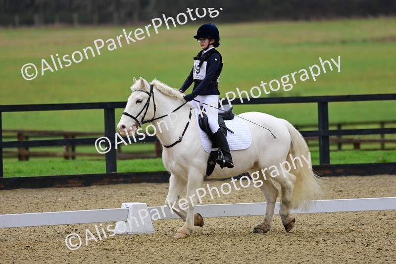 20260125-0585 - Class 9b - Walk Trot Unassisted