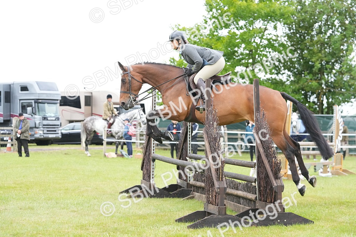 SBM_12623 - Class 97-98 - LIHS BSHA Rising Star Working Show Horse Hunter