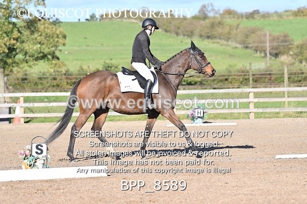 BPP_8589 - SHORT ARENA