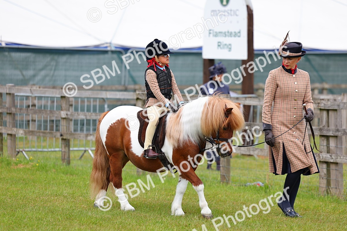 SBM_08070 - Class 42-43 - LIHS BSPS Heritage Working Sports Pony