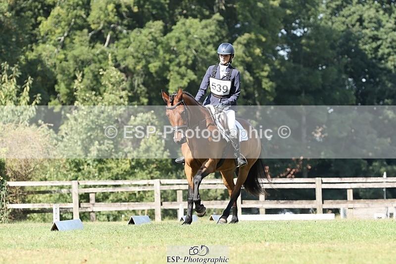 250823A-105245-27831 - Arena D