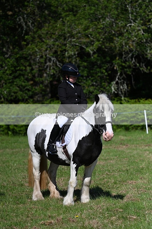 WJ7_0391 - Class 8 First Rally Pony