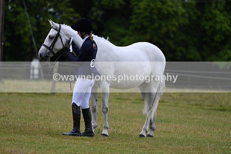 WJ7_6400 - Class 4a Prettiest Mare over 14hh