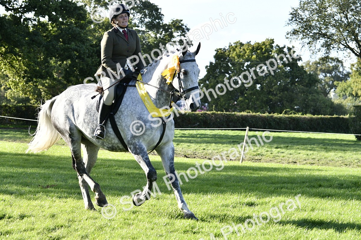 SBM_52281 - S35 - Working Hunter & Working Show Horse
