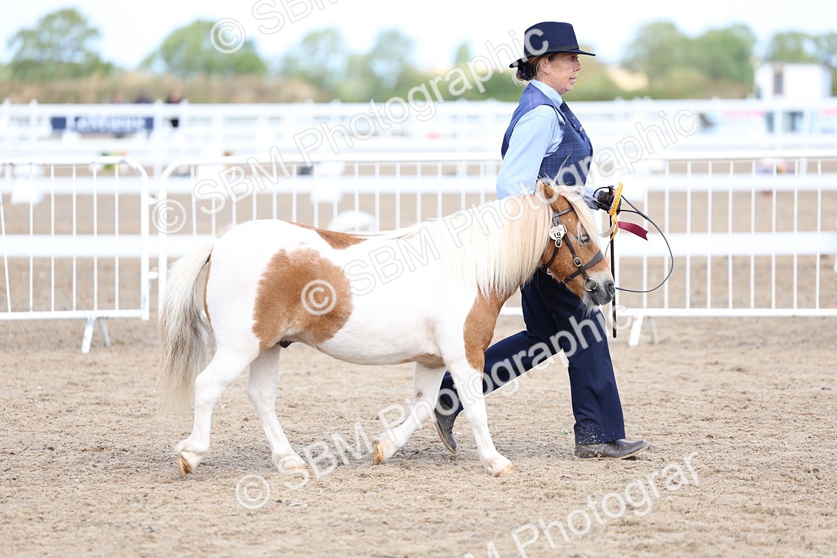 SBM_02414 - Class 19 - Horse or Pony Judge would most like to take home