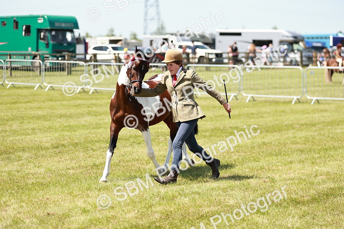 SBM_05461 - Class 39-40 - BSPA Coloured In Hand