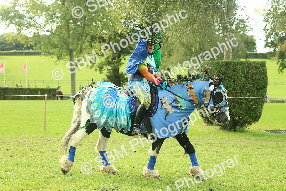 SBM_63485 - S35 - Fancy Dress Showing