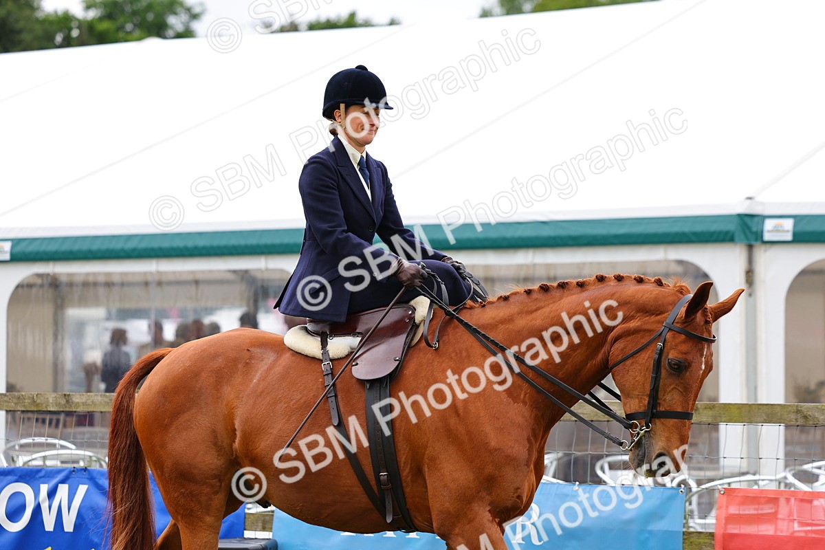 SBM_02852 - Class 9-11 Side Saddle including LIHS Rising Star Ladies Show Horse