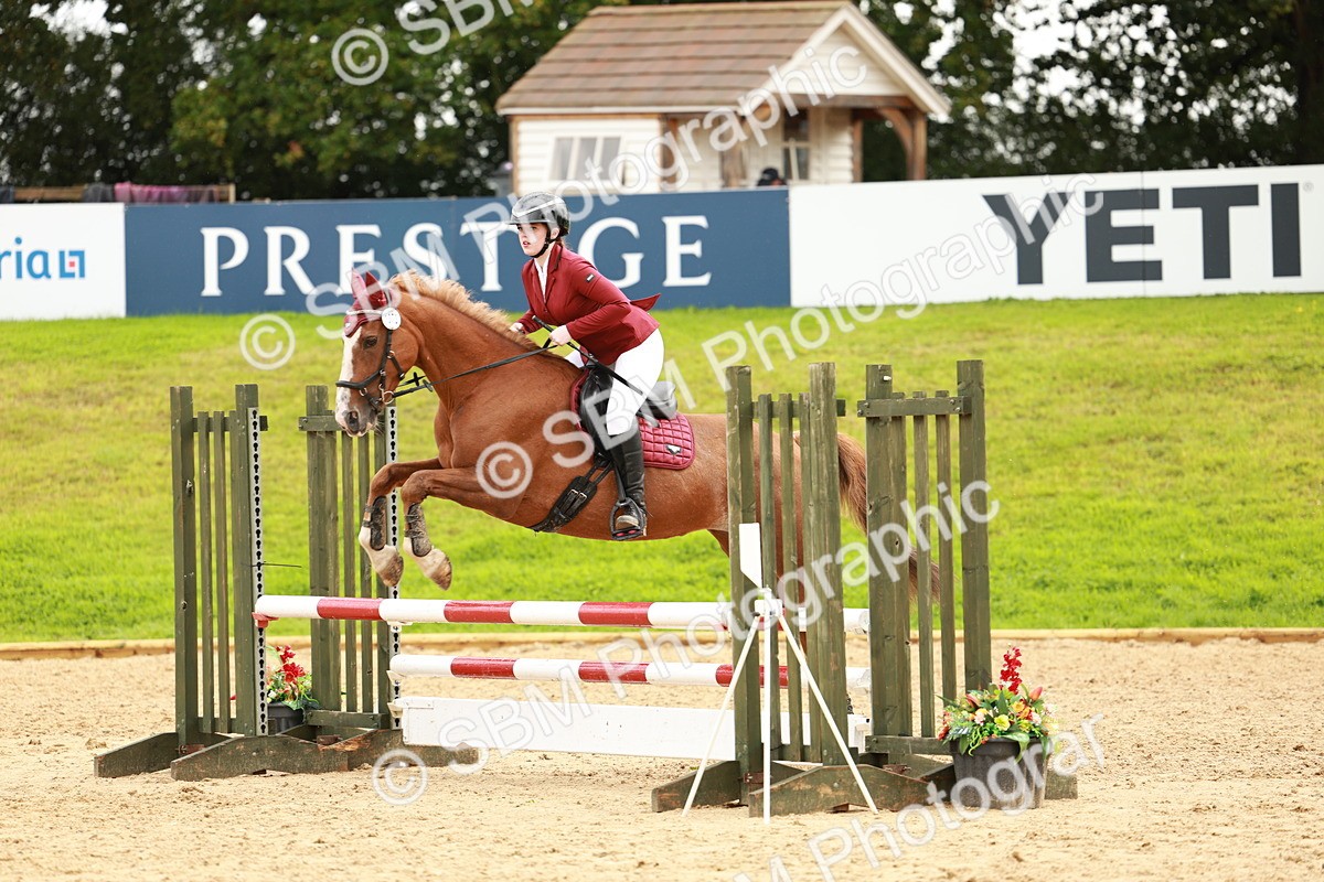 SBM_38446 - Supreme Championship 80cm 85cm
