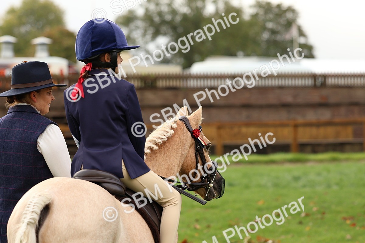 SBM_32856 - S8 - Best Turned Out