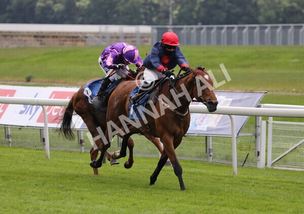 yr12062021r1-25 - Race 1 2.00pm Queen Mother's Cup