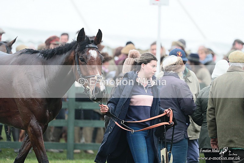 PtP 080326 233 - Pytchley with Woodland Point-to-Point Guilsborough 08/03/26