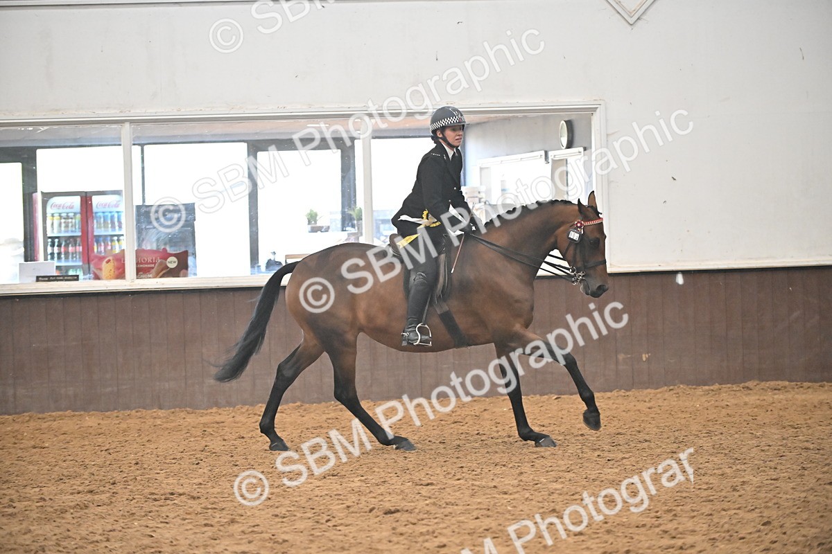 SBM_002415 - Class 22 - BSHA Ridden Hack & Riding Horse