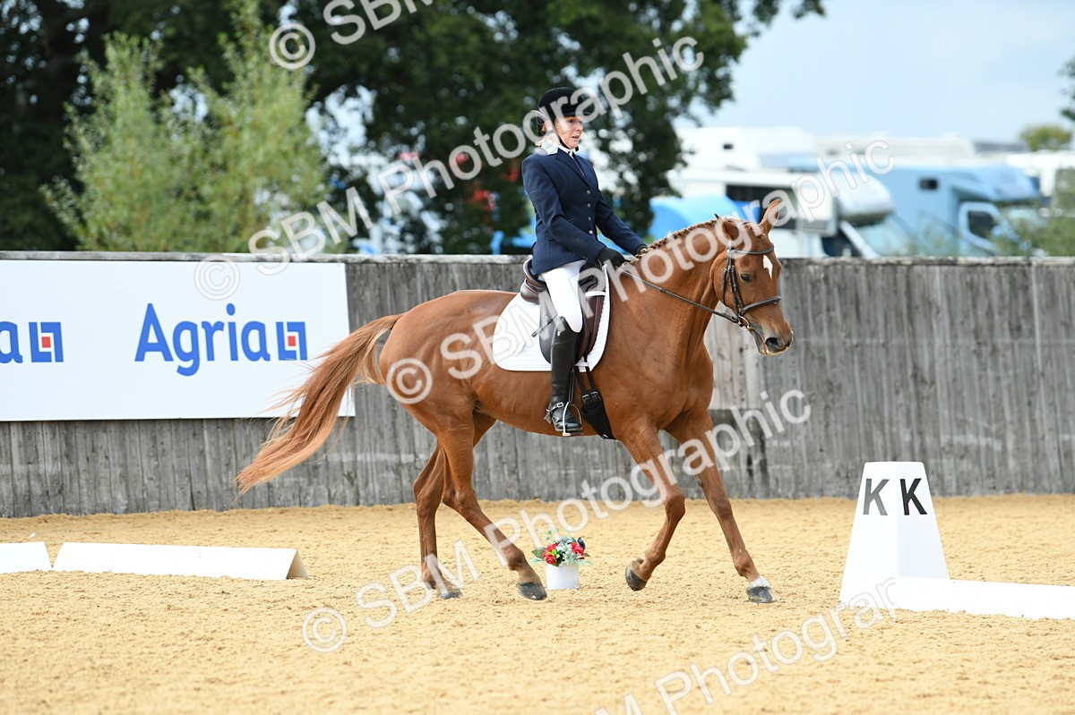 SBM_11008 - D28 Elementary Taster Elementary 42