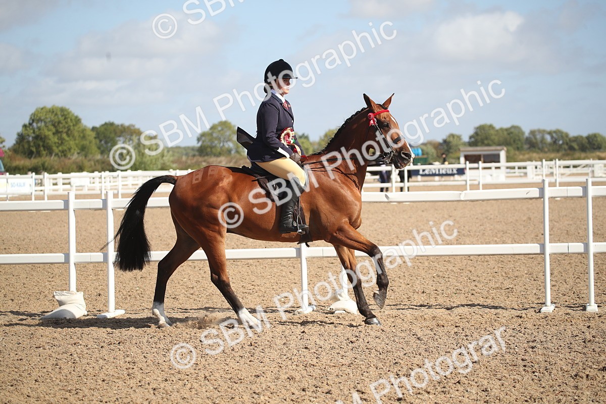 SBM_22893 - Class 602 - 2026 Area - Ridden Veteran