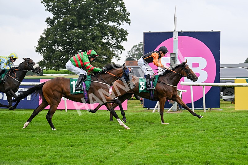 070924-Race 2-Cymbidium-7172 - Race 2