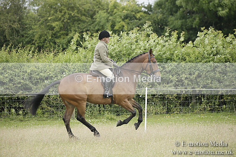 B230619-0963 - Bourne Valley Riding Club Summer Show 23/06/19